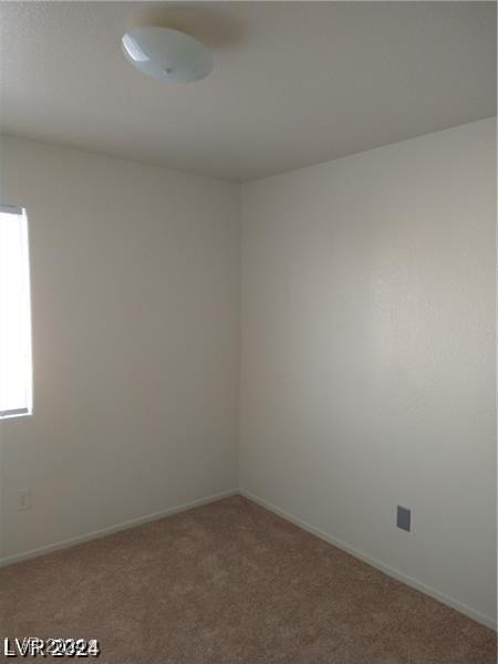 unfurnished room featuring carpet