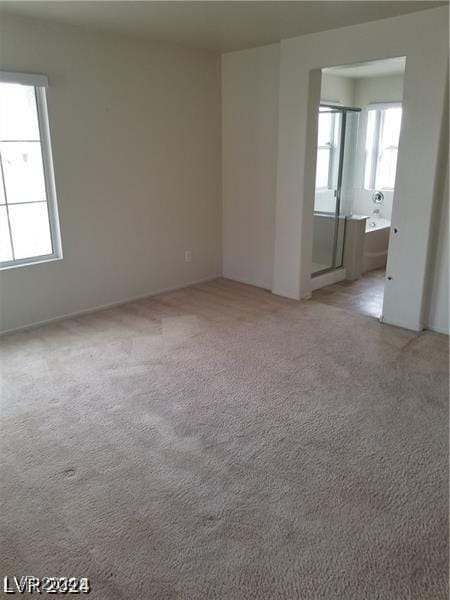 carpeted spare room featuring a healthy amount of sunlight