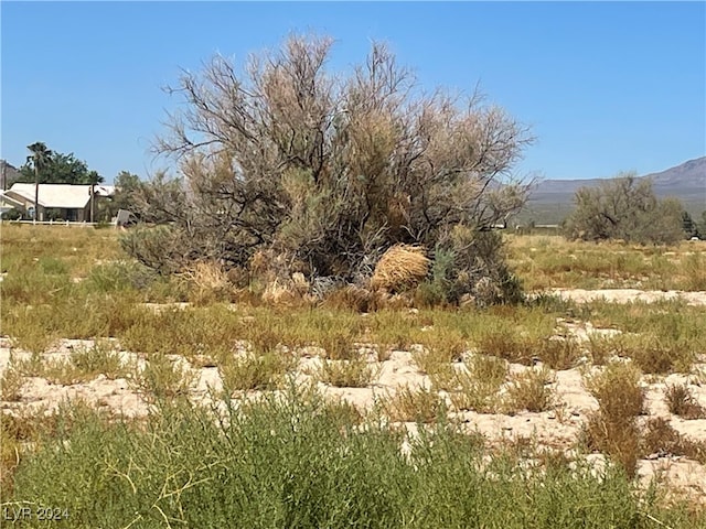 Listing photo 2 for 1280 W Cometa Ln, Pahrump NV 89060