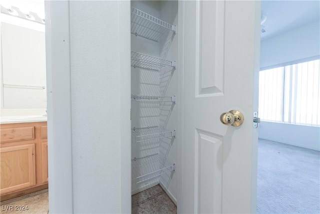 view of closet