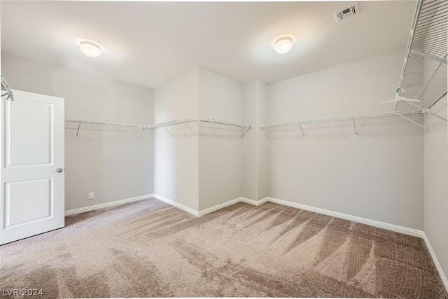 spacious closet with carpet flooring