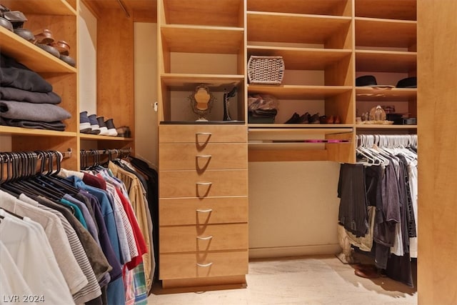 view of spacious closet