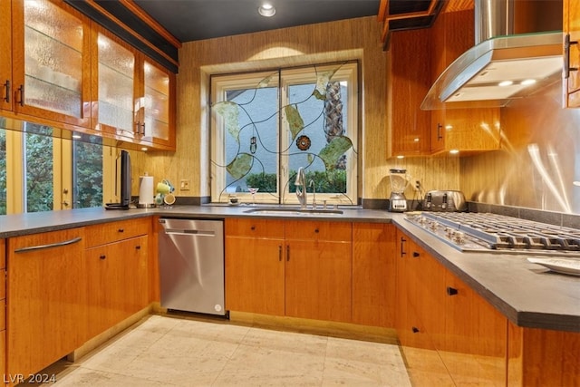 kitchen featuring sink, wall chimney range hood, and appliances with stainless steel finishes