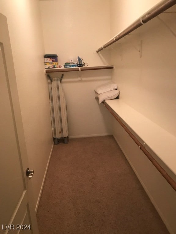 walk in closet featuring carpet flooring