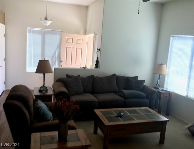 living room with a high ceiling