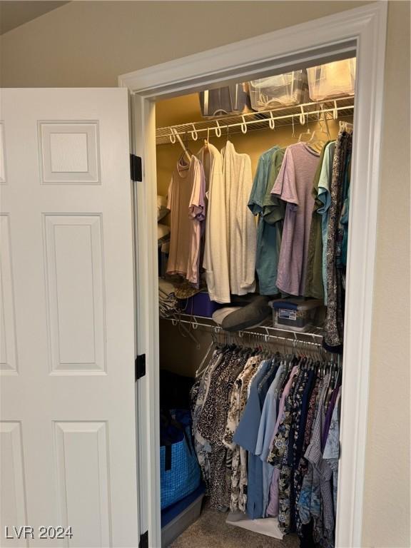 view of closet