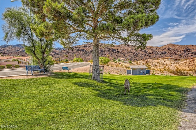 view of yard with a mountain view