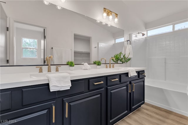 bathroom with vanity, a wealth of natural light, and wood-type flooring