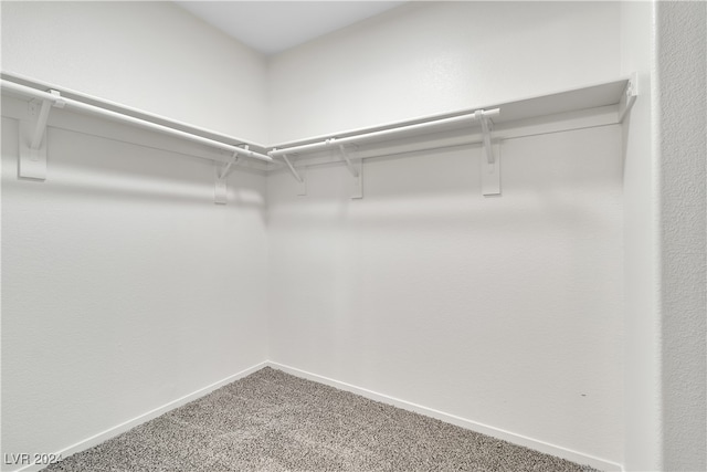 walk in closet featuring carpet flooring