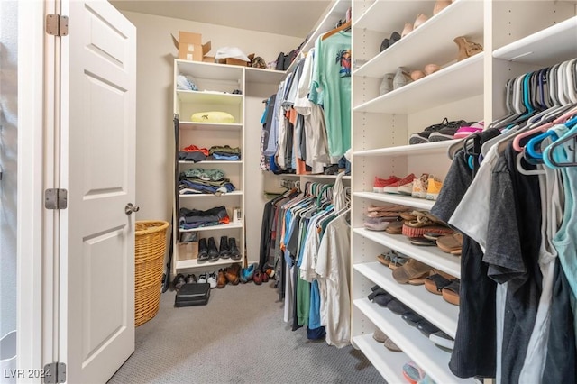 spacious closet with carpet floors