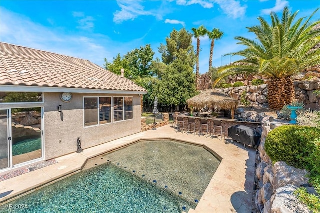 view of swimming pool with a patio area and exterior bar