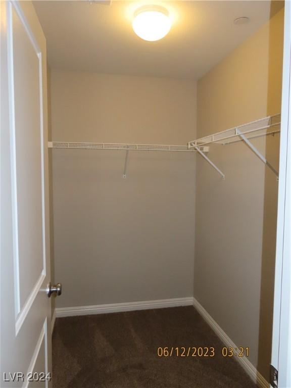 walk in closet with carpet flooring