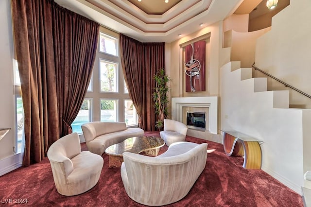 sitting room with carpet flooring, a raised ceiling, and a high ceiling