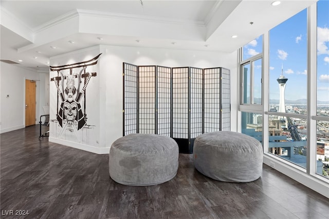 sitting room featuring baseboards, dark wood-type flooring, crown molding, floor to ceiling windows, and recessed lighting