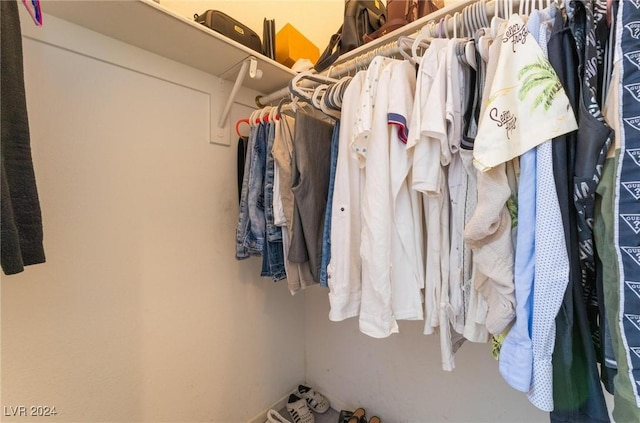 view of spacious closet