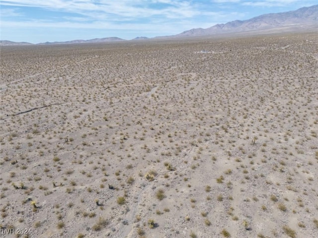 1401 W Coral Rd, Pahrump, NV 89020 - photo 4