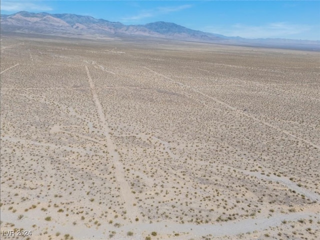 1401 W Coral Rd, Pahrump, NV 89020 - photo 9