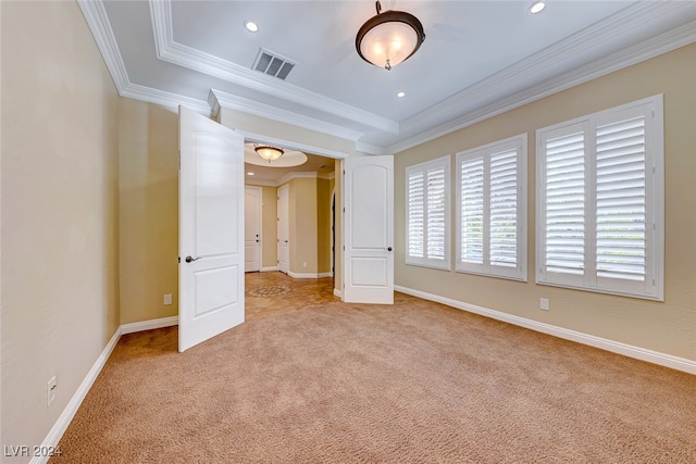 unfurnished bedroom with light colored carpet and a raised ceiling