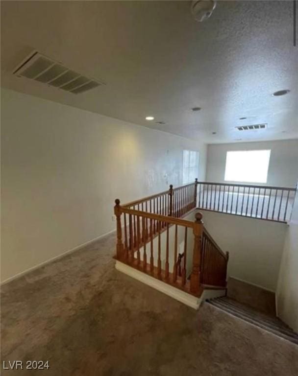 stairway with carpet floors