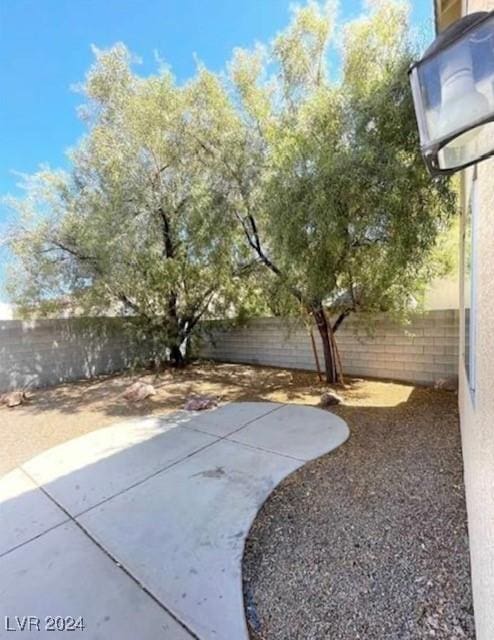 view of yard featuring a patio area