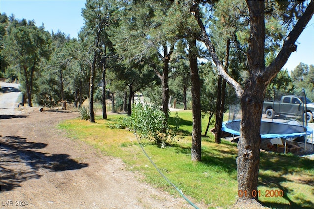 view of yard with a trampoline