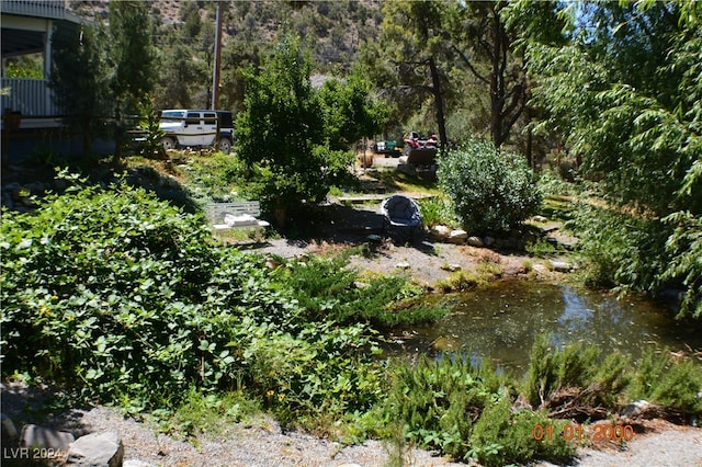 view of yard with a water view