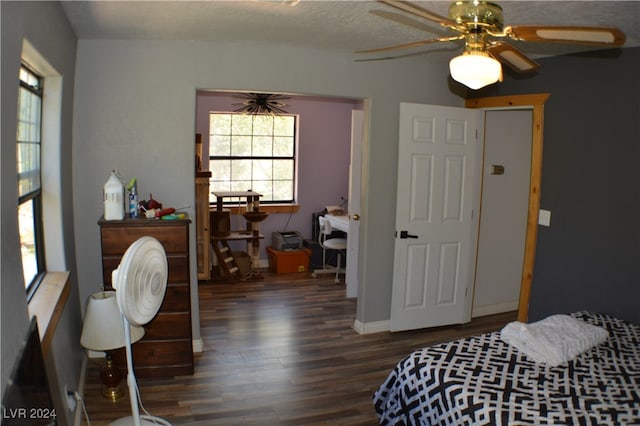 bedroom featuring multiple windows, hardwood / wood-style flooring, and ceiling fan