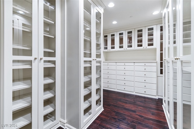 spacious closet featuring dark hardwood / wood-style floors