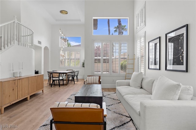 living room featuring a high ceiling, a raised ceiling, and light hardwood / wood-style floors