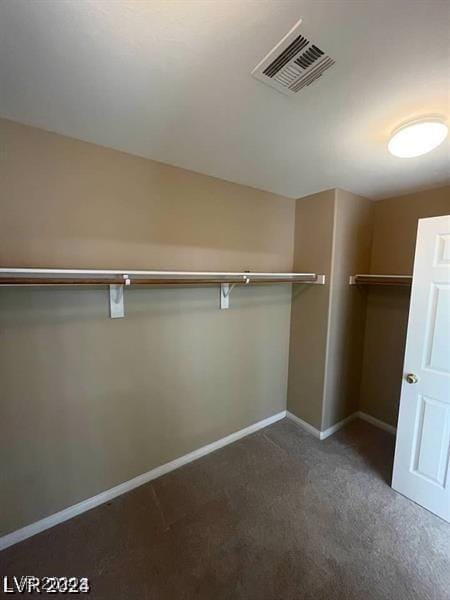 spacious closet featuring carpet floors and visible vents