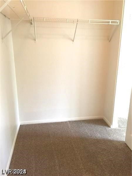 spacious closet with carpet flooring