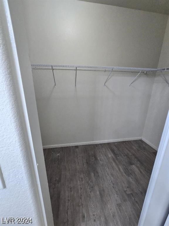 spacious closet featuring wood finished floors