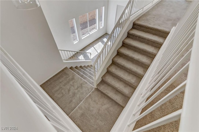 stairway featuring carpet floors