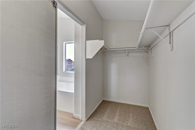 spacious closet with light carpet