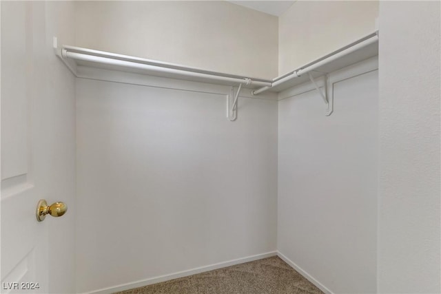 walk in closet featuring carpet