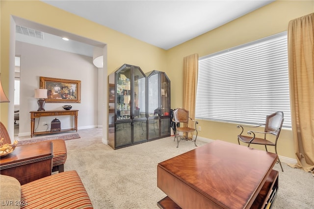 carpeted living room with plenty of natural light