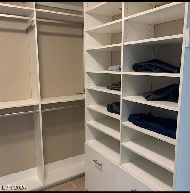 view of spacious closet