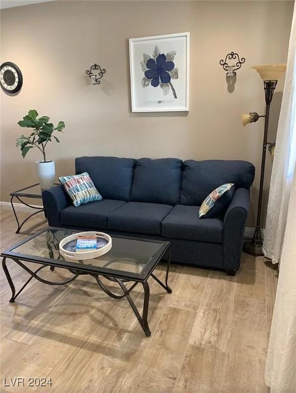 living room featuring light hardwood / wood-style flooring