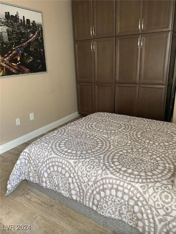 bedroom featuring wood-type flooring and a closet