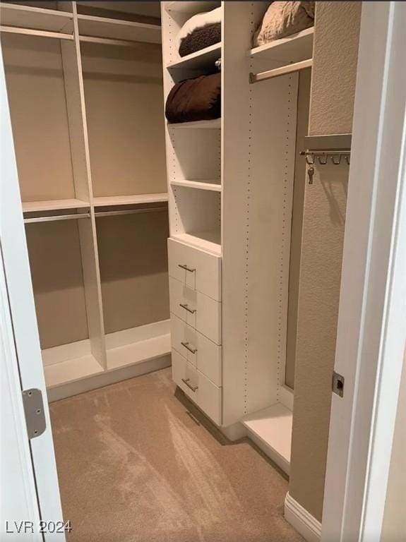 spacious closet with carpet floors