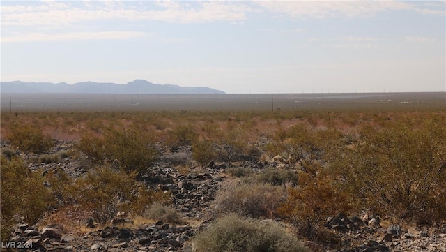 7350 N Blackrock Ave, Pahrump, NV 89060 - photo 6