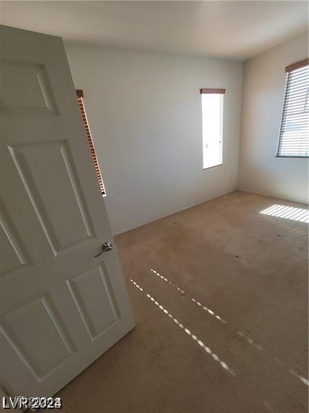 empty room featuring a wealth of natural light and light carpet