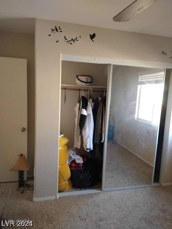 view of closet