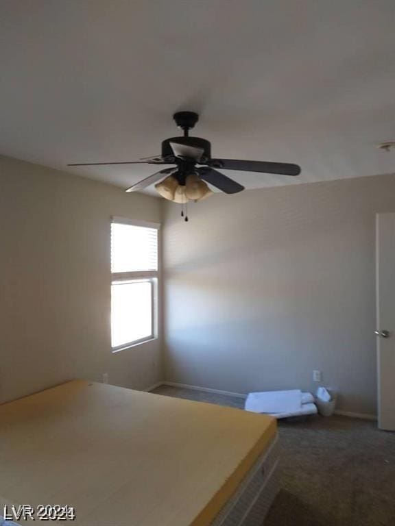 interior space with carpet and ceiling fan