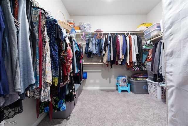 spacious closet featuring carpet floors