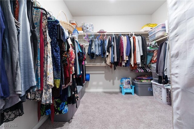 spacious closet with carpet floors