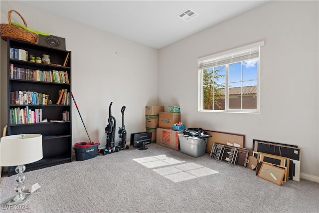 miscellaneous room with carpet floors