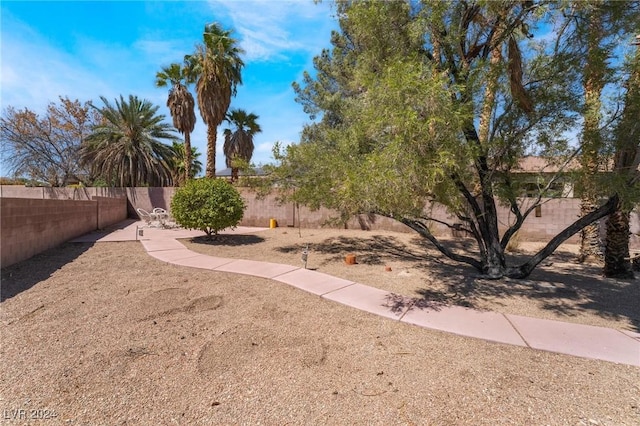 view of yard with a fenced backyard