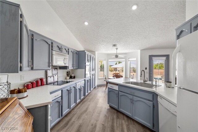 kitchen featuring hardwood / wood-style floors, white appliances, sink, and a healthy amount of sunlight