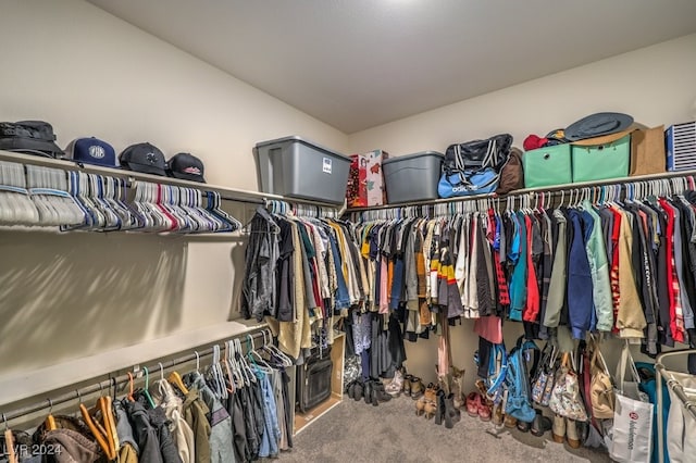 spacious closet featuring carpet floors